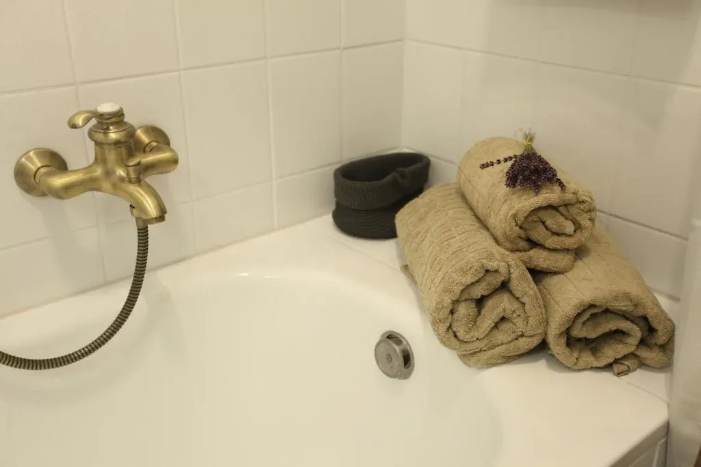 Exclusive Antique Apartment Next To The Fashion Street Βουδαπέστη